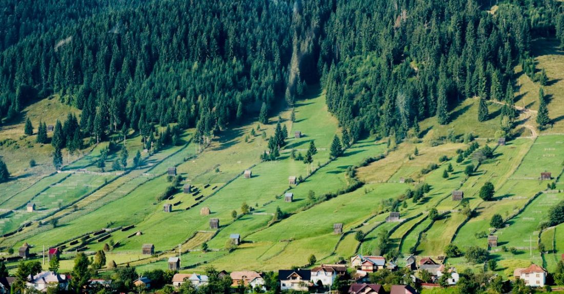 Urban Farming - A Farm Field On An Urban Forest