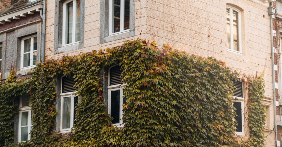 Living Walls - People Walking on the Street Near the Building with Vertical Garden