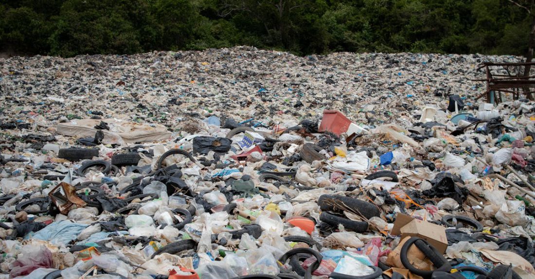 Waste Management - Landfill near Trees