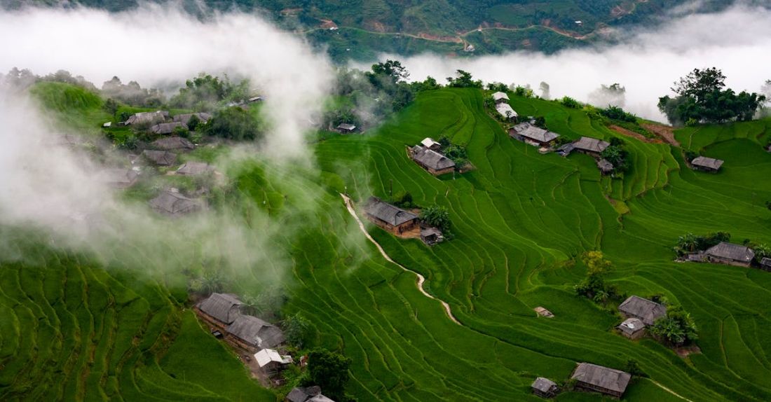 Green Roofs - Buildings and Grass Covered Field during Day