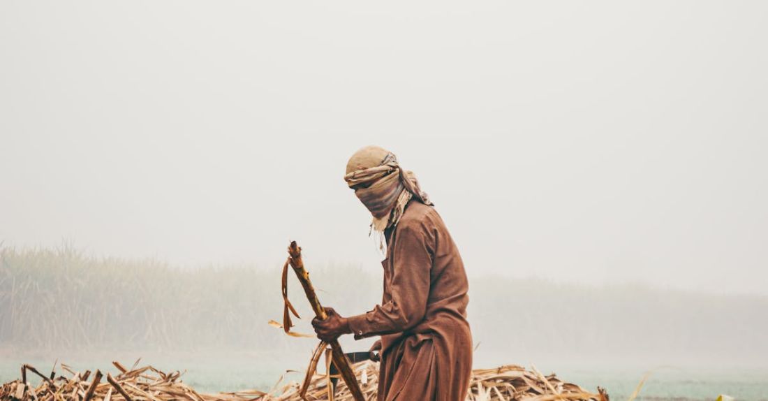 Rainwater Harvesting - A man is working in the field with a cane
