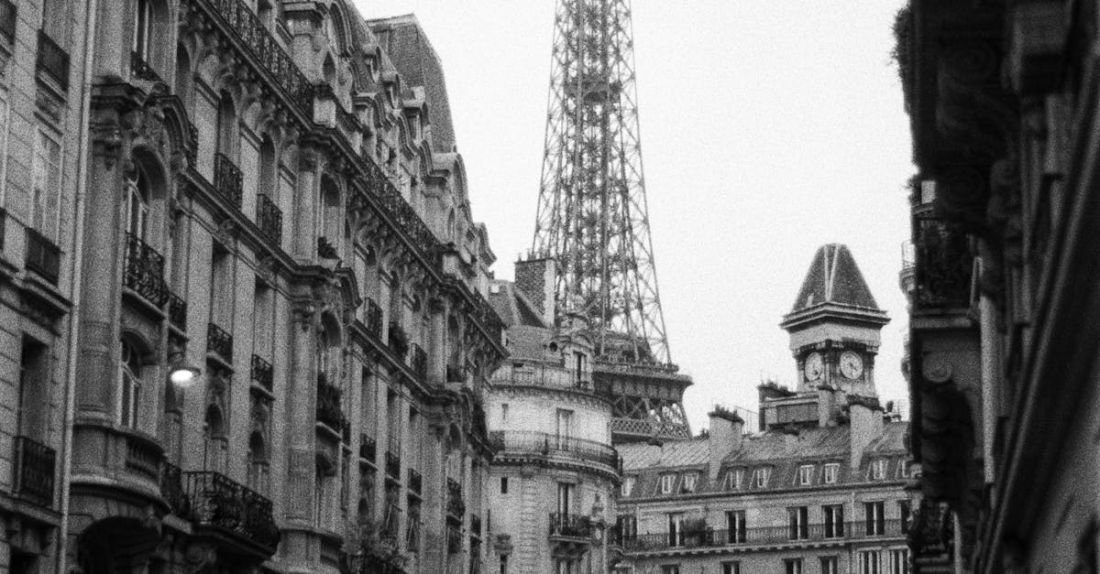 Urban Forestry - streets of paris